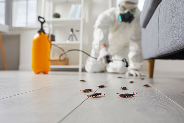Commercial Kitchen Cockroach Control in Poynette